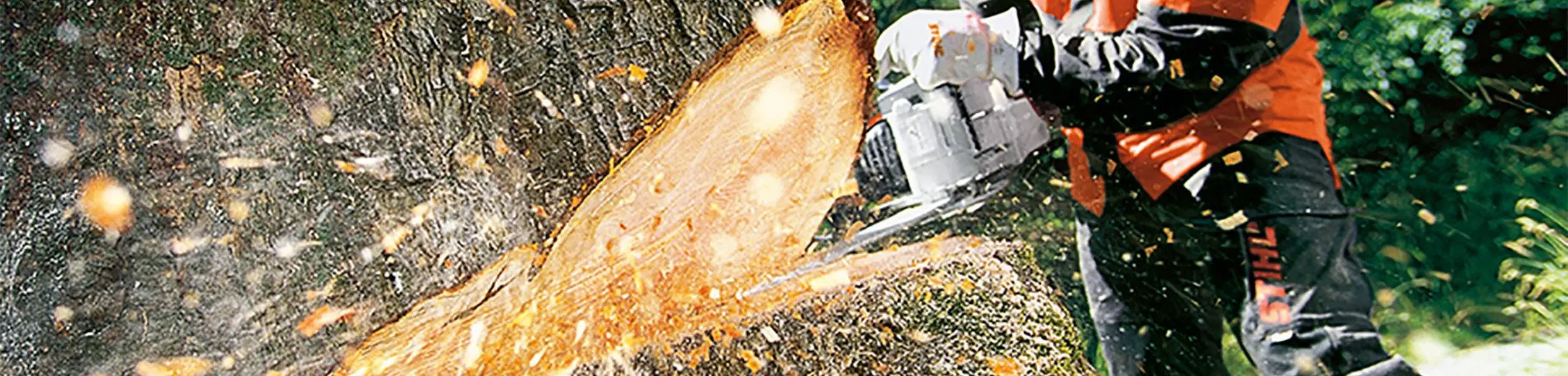 CHAINSAW & LOGGING GEAR